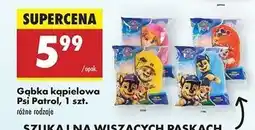 Biedronka Gąbka kąpielowa psi patrol oferta