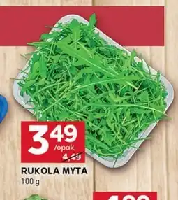 Stokrotka Optima Rukola oferta