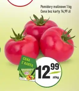 Sedal Pomidory oferta