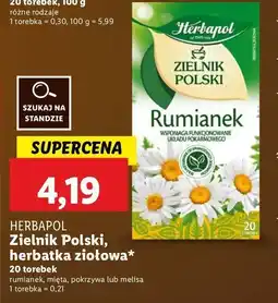 Lidl Herbatka mięta Herbapol zielnik polski oferta