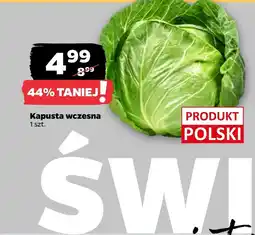 Netto Kapusta Polski oferta