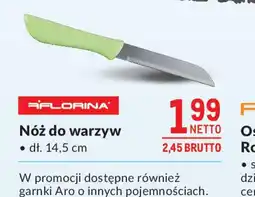 Makro Nóż do warzyw Florina oferta