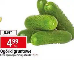 E.Leclerc Ogórek gruntowy oferta