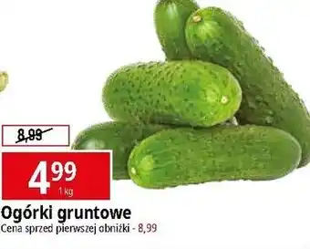 E.Leclerc Ogórek gruntowy oferta