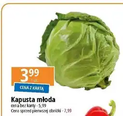 E.Leclerc Kapusta młoda oferta