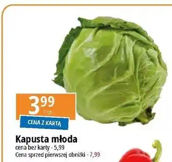 E.Leclerc Kapusta młoda oferta