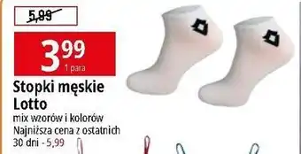 E.Leclerc Stopki męskie Lotto oferta