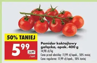 Biedronka Pomidor koktajlowy gałązka opak 400 g oferta
