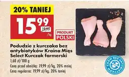 Biedronka Podudzie z kurczaka bez antybiotyków Kraina Mięs Select Kurczak farmerski oferta