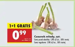 Biedronka Czosnek młody szt oferta