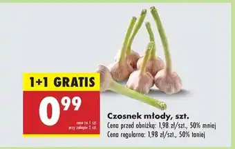 Biedronka Czosnek młody szt oferta