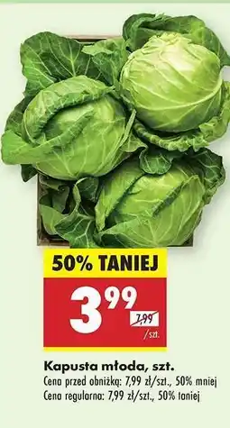 Biedronka Kapusta młoda szt oferta