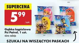 Biedronka Gąbka kąpielowa Psi Patrol, 1 szt oferta