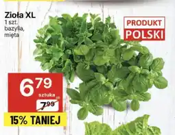 Delikatesy Centrum Zioła doniczkowe Polski oferta