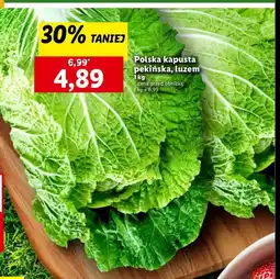 Lidl Kapusta pekińska oferta