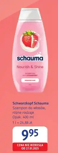 dm drogerie markt Szampon Schauma oferta