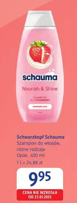 dm drogerie markt Szampon Schauma oferta