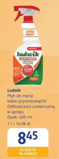 dm drogerie markt Płyn do mycia kabin prysznicowych Ludwik oferta