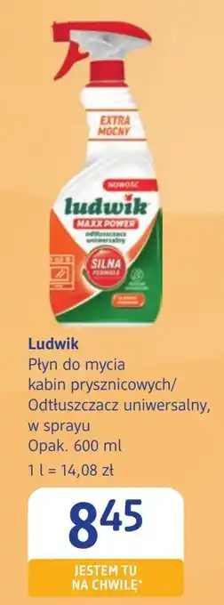 dm drogerie markt Płyn do mycia kabin prysznicowych Ludwik oferta