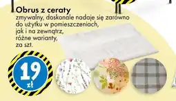 Tedi Obrus oferta
