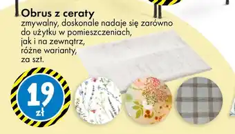 Tedi Obrus oferta