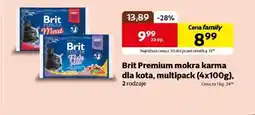Kakadu Mokra karma dla kota Brit oferta