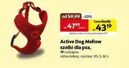 Kakadu Szelki dla psa Active dog oferta