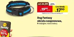 Kakadu Obroża Dog Fantasy oferta