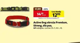 Kakadu Obroża dla psa Active dog oferta