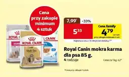 Kakadu Karma dla psa Royal Canin oferta