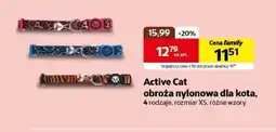 Kakadu Obroża dla kota Active Cat oferta