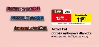 Kakadu Obroża dla kota Active Cat oferta