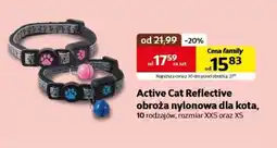 Kakadu Obroża dla kota Active Cat oferta
