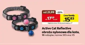 Kakadu Obroża dla kota Active Cat oferta