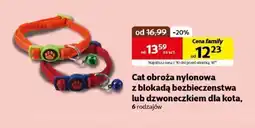Kakadu Obroża dla kota Family oferta