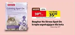 Kakadu Środek uspokajający dla kota Beaphar oferta