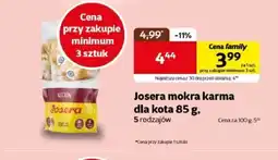 Kakadu Mokra karma dla kota Josera oferta