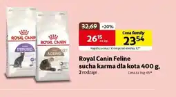 Kakadu Karma dla kota Royal Canin oferta