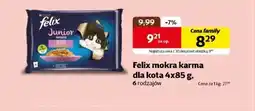 Kakadu Mokra karma dla kota Felix oferta