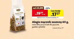 Kakadu Przysmak dla ptaków Alegia oferta