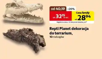 Kakadu Dekoracje do terrarium Repti planet oferta