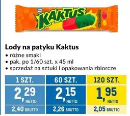 Makro Lody na patyku Kaktus 45ml oferta