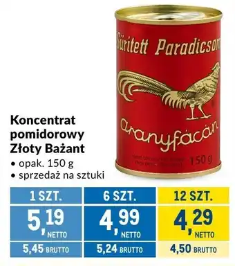 Makro Koncentrat pomidorowy Złoty Bażant oferta
