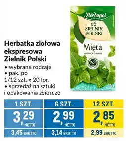 Makro Herbatka ziołowa ekspresowa Zielnik Polski oferta