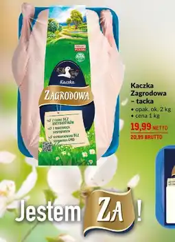 Makro Kaczka zagrodowa tacka 2kg Zagrodowy oferta