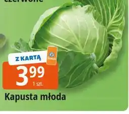 E.Leclerc Kapusta młoda oferta
