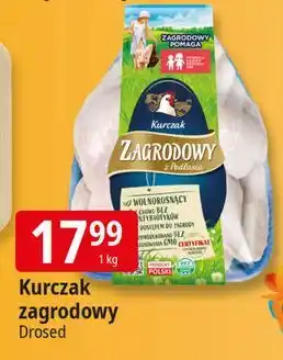 E.Leclerc Kurczak zagrodowy z podlasia Drosed oferta