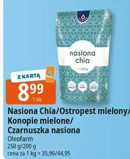 E.Leclerc Czarnuszka Oleofarm oferta