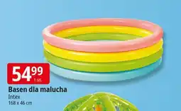 E.Leclerc Basen 4 kolory 168 x 46 cm Intex oferta