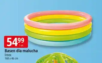 E.Leclerc Basen 4 kolory 168 x 46 cm Intex oferta